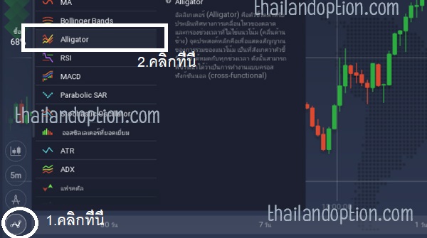 วิธีใช้ alligator indicator 1