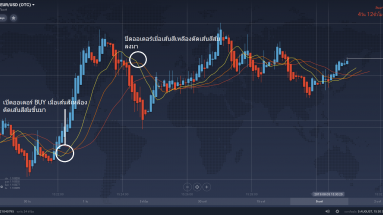 alligator indicator