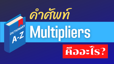 Multipilers คืออะไร