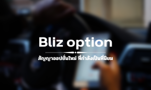 bliz option feature image