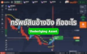 ทรัพย์สินอ้างอิง คืออะไร