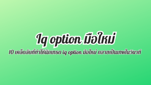 iq option มือใหม่