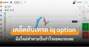 iq option มือใหม่ cover