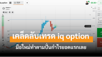 iq option มือใหม่ cover